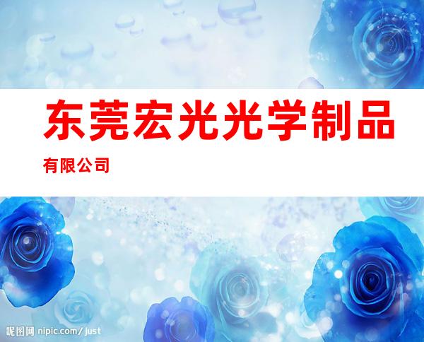 东莞宏光光学制品有限公司