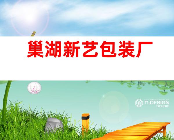 巢湖新艺包装厂