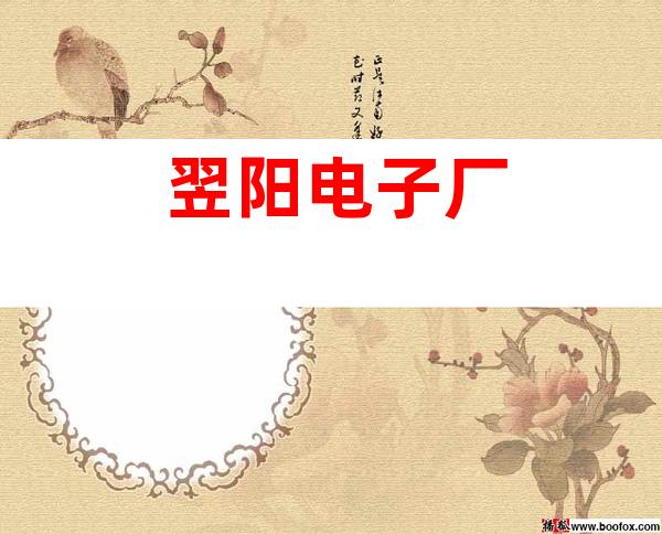 翌阳电子厂