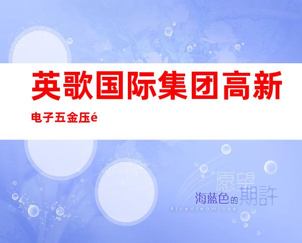 英歌国际集团/高新电子五金压铸厂
